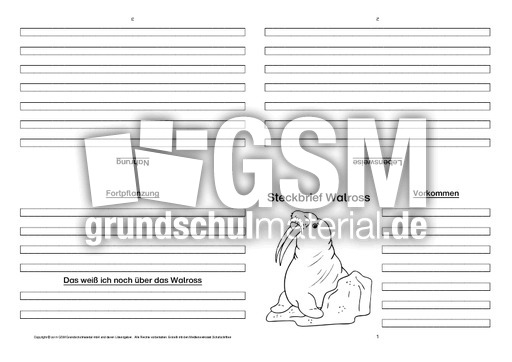 Walross-Faltbuch-vierseitig-2.pdf